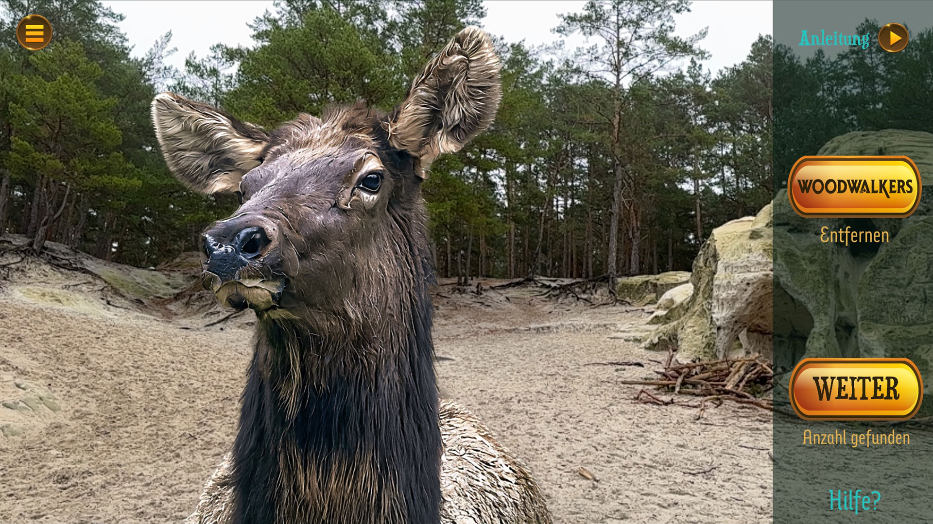 AR_Woodwalkers_03